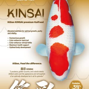 KiGen Koivoer Kinsai Premium 6mm 1,2 Kg